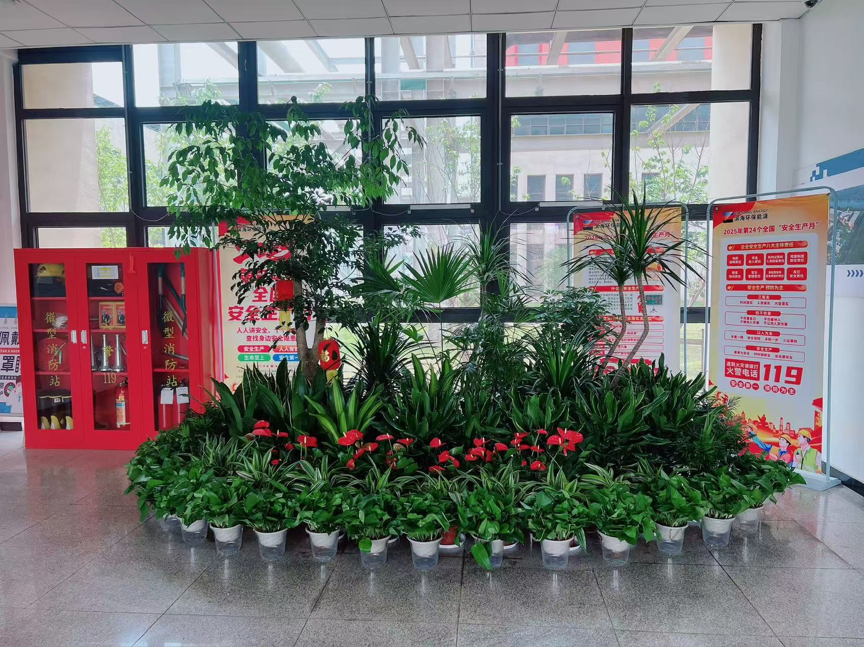 探寻鄞州花木租赁,实惠价打造绿色天地!><div class=